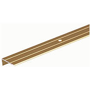 Treppenkanten-Profil Alu gold elox 24,5x20x1,5/1m